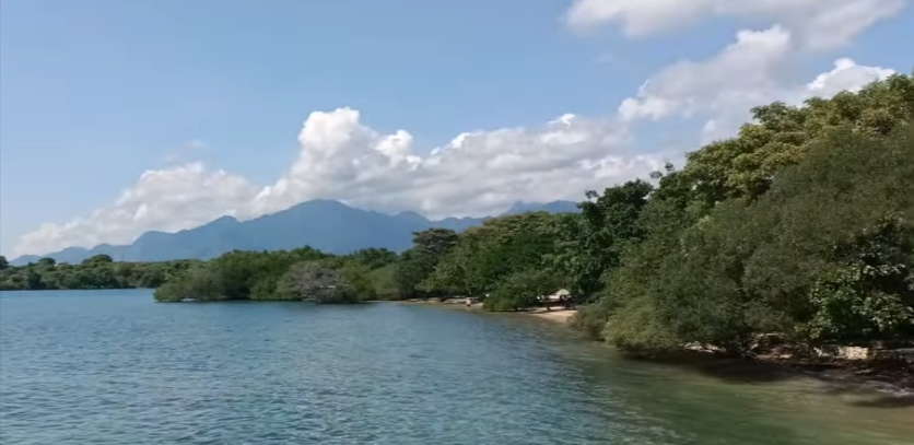 West Bali National Park